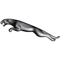 esther-turbo-jaguar.png • Grupo Cps Auto